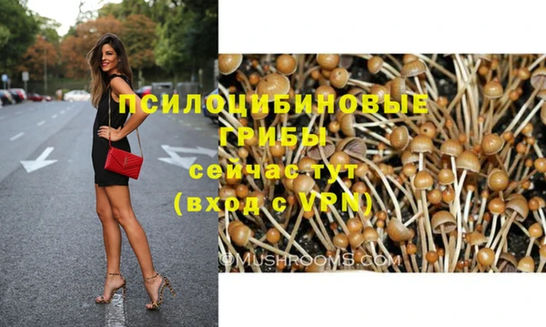 стафф Богородск