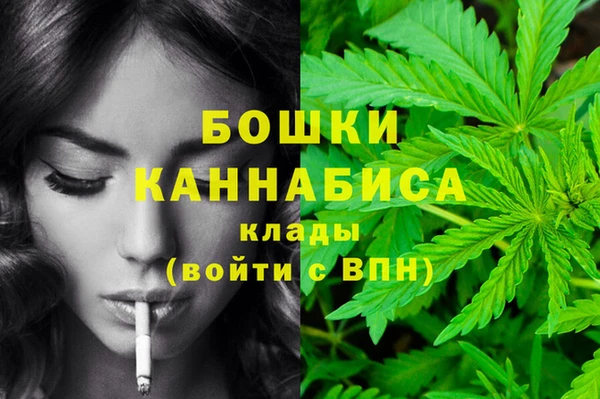 Альфа ПВП Богданович