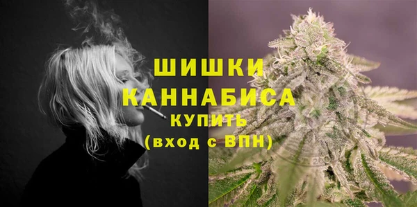 стафф Богородск